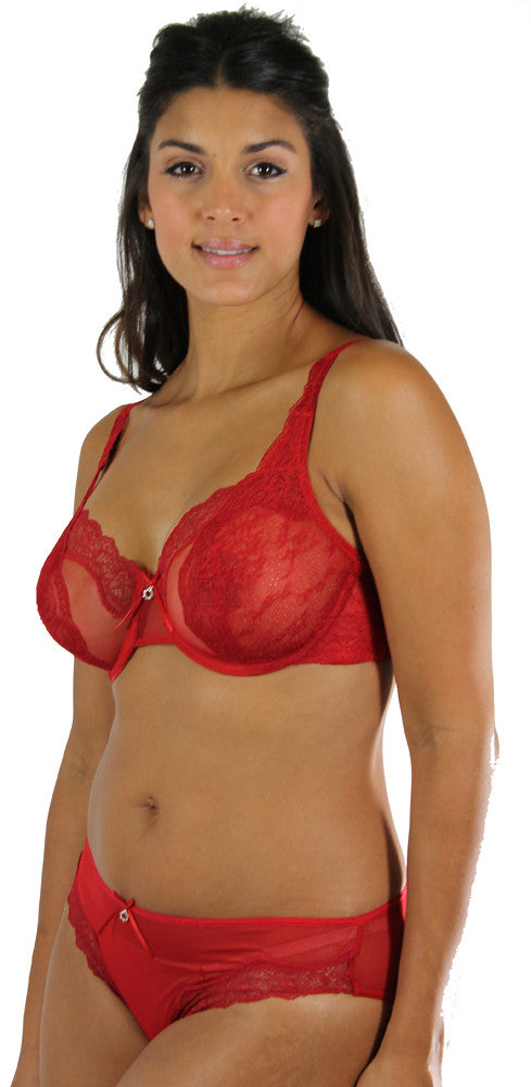 Ashley Lace Seduction Bikini - #30632 - Lunaire: Prettier Bras That Fit &  Flatter Your Curves!